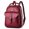 Dual Brand Japan and Korean Style Leather Schoolbag